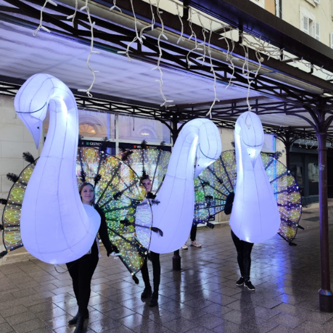 animation bal des cygnes bal des cygnes