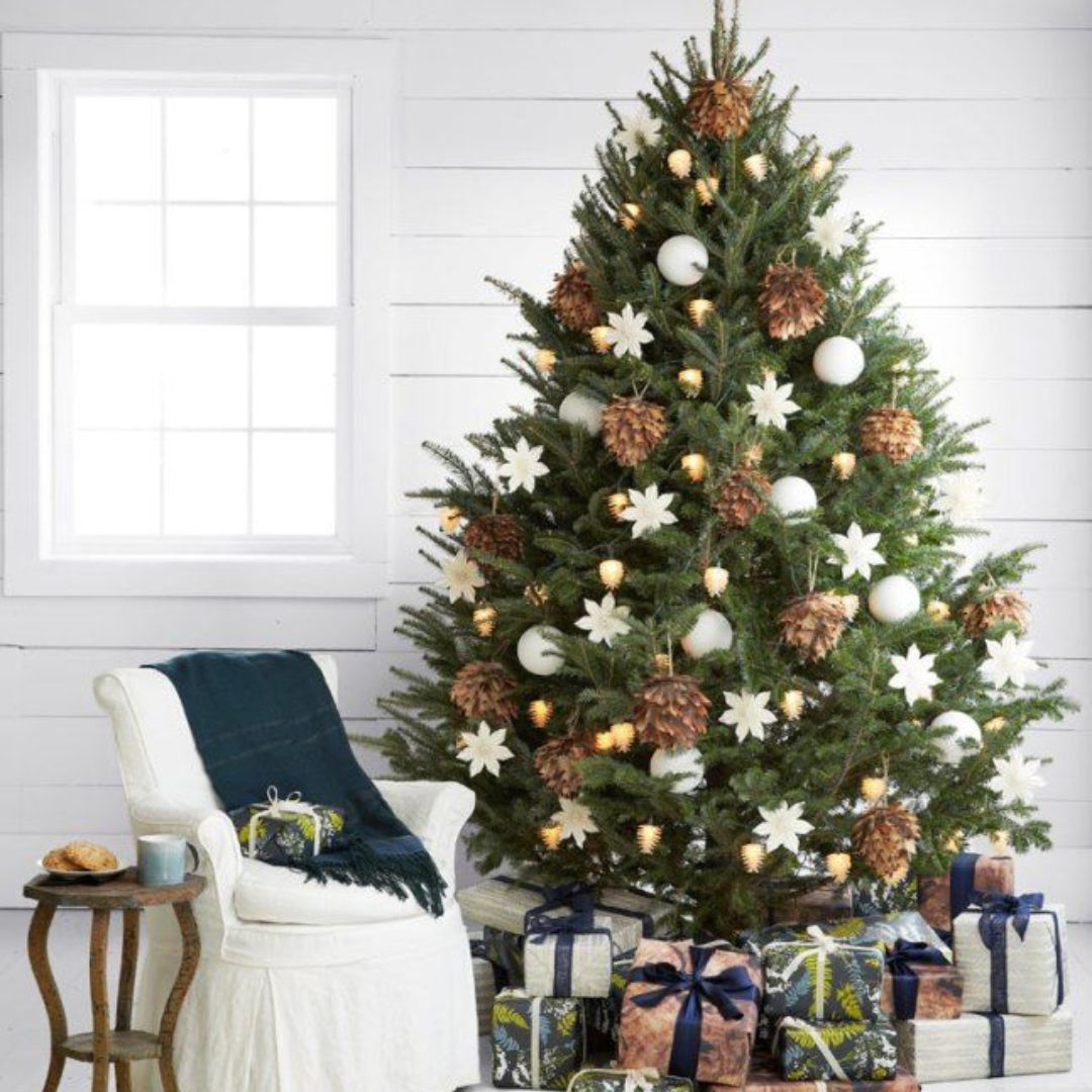 sapins naturels sapins naturels