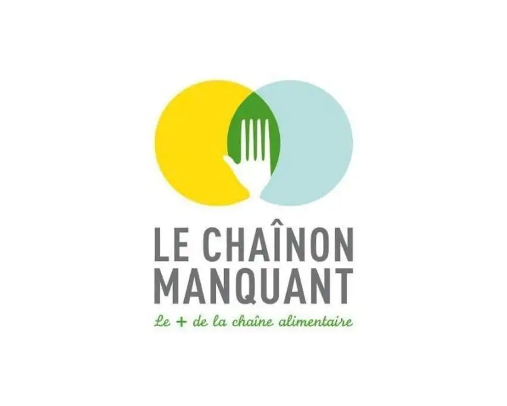 Logo Le Chainon Manquant